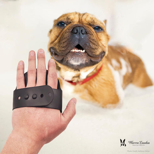 Warren London Grooming Bath Brush - Applicator for Dog Shampoo, Hydrating Butter, or Leave-In Conditioner