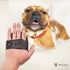 Warren London Grooming Bath Brush - Applicator for Dog Shampoo, Hydrating Butter, or Leave-In Conditioner