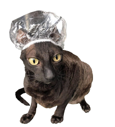 20 Shower Caps for Sphynx Cats and Other Hairless Cats, Gift Box Tin