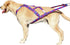 PET ARTIST Speed Training Dog Weight Pulling Harness for Medium and Large Dogs, Pink, XL