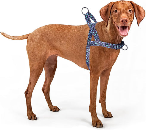 No Pull Dog Harness for Easy Walk, Floral Pattern Female Safety Nylon Training Collar for Puppy Small, Medium, and Large Dogs (Skull, S)