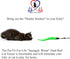 Pet Fit For Life Cat Wand Toy - 5-Piece Worm Teaser & Exerciser, Durable Flirt Pole for Feline Fitness