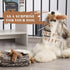 Laifug Hidden Squirrel Plush Dog Toy Interactive Squeaky Dog Toy Hide and Seek, XL