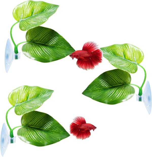 3 Pack Betta Fish Leaf Pad, Natural & Organic, Improves Betta's Health, Comfortable Rest Area for Aquarium