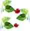 3 Pack Betta Fish Leaf Pad, Natural & Organic, Improves Betta's Health, Comfortable Rest Area for Aquarium