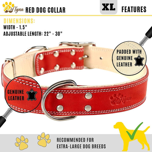 ADITYNA Heavy-Duty Premium Leather Dog Collar for Extra-Large Dogs - Padded Soft Genuine Leather