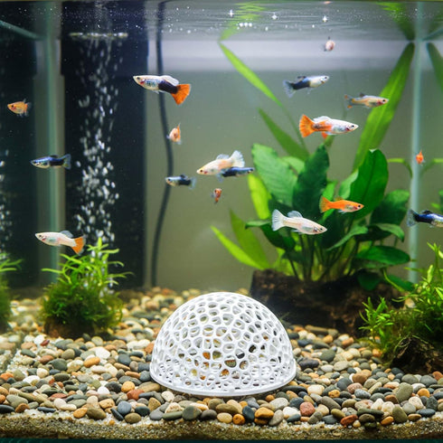Alrhso 2 Pack Shrimp Hides for Aquarium Shrimp Dome Hide Fish Tank Porous Cave Shelter Hideout Ornament Tunnel Cave