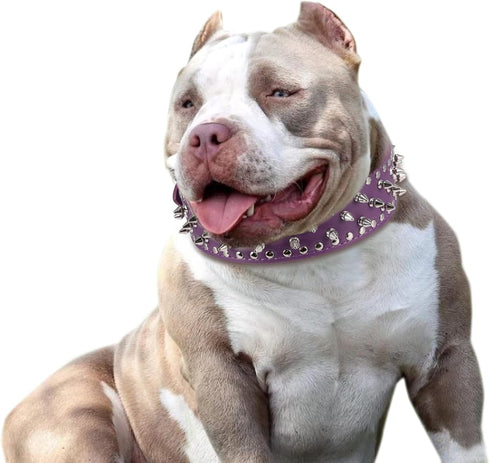 Hoot PU Leather Adjustable Spiked Studded Dog Collar, 2" Wide, 37 Spikes, M (Neck 19"-22"), Purple