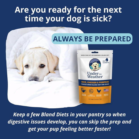 Under the Weather Bland Diet for Dogs - 6oz Pack, Easy to Digest Rice, Chicken & Pumpkin, All Natural