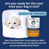 Under the Weather Bland Diet for Dogs - 6oz Pack, Easy to Digest Rice, Chicken & Pumpkin, All Natural