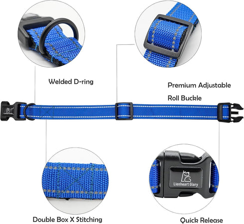 Lionheart Glory Reflective Dog Collar, Durable Soft Classic Collar for Small Dogs, Blue Pet Gift
