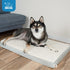 Best Pet Supplies Cute Dog Crate Mat - Waterproof Exterior, Thick Orthopedic Egg Foam Mattress - Beige, 24X16X3