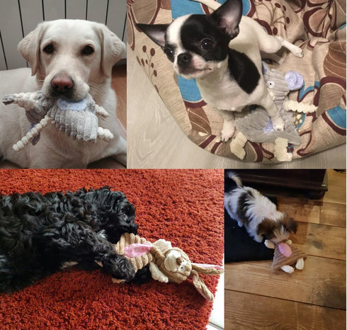Comtim No Stuffing Dog Toys with Squeaker - Durable Chew Toys for Small Dogs & Puppies, Rabbit & Elephant