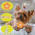Small Dog Collar with Flower, Adjustable Length Puppy Collar for Girl Dogs, Cute with Bell, Yellow
