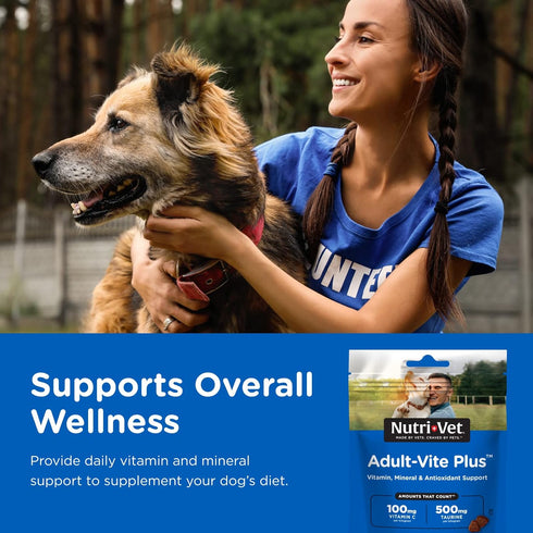 Nutri-Vet Adult-Vite Plus Soft Chews for Dogs, 70 Count, 6 Ounces, Supports Everyday Health