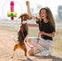 azuza 3 Pack Nylon Dog Leashes, Strong & Durable Basic Style Leash with Easy to Use Collar Hook for Puppy Small Dogs,