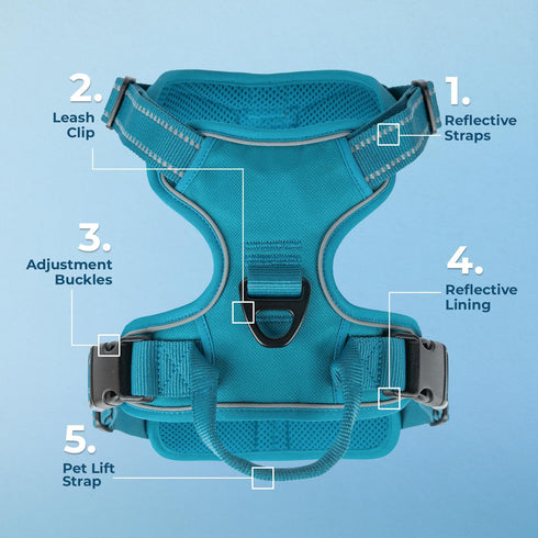 Voyager No Pull Dog Harness for Extra Small Dogs, Adjustable Soft Pet Harness with Dual Leash Attachments, Turquoise