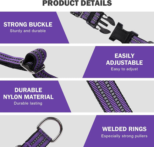Reflective Nylon Martingale Collar for Dogs, Adjustable Quick Release No Slip Training Collar (Medium, Purple)