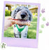 Nature Gnaws Beef Trachea for Dogs - Premium Natural Beef Bones, Rawhide Free, 6 Count Crunchy Chew Treats
