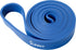 Sunny Health & Fitness Strength Training Pull Up Workout Resistance Band for Home Gym and Muscle Building
