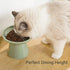 Extra Wide Elevated Cat Bowls - Ceramic Cat Food Bowl 6.2" Raised Cat Food Bowls Elevated Shallow Cat Food Dish, Whisker Fatigue, Lead & Cadmium Free, 5" Good Height for Cat Feeding, Sage Green