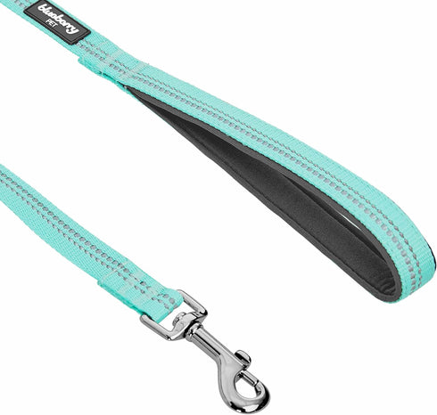 Blueberry Pet 3M Reflective Pastel Color Dog Leash with Soft Comfortable Handle, 5 ft x 3/4", Mint Blue, Medium
