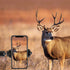 Universal Bow Phone Mount 360° Cell Phone Holder for Archery, Phone Mount for Compound Bow Hunting Photos and Video