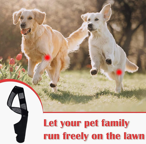 Dog Elbow Brace Protector Pads, Dog Elbow Protector for Canine Elbow and Shoulder Support Elbow Hygroma, Dysplasia, Osteoarthritis, Elbow Calluses, Pressure Sores and Shoulder Dislocation(XL)