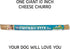 yaky CHURRO Himalayan Cheese Treats | Lactose Free - Gluten Free - Grain Free | USA Made | for All Breeds | 1 x 10 inch Churro | Real Himalayan Cheese Churro