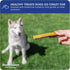 Downtown Pet Supply Jumbo Bully Sticks for Dogs (6", 10-pack) - Non-GMO, Grain Free, Long Lasting Pizzle Sticks