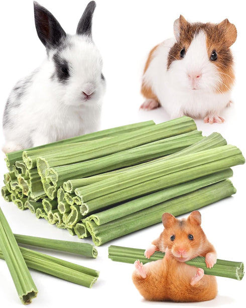 Bissap 35PCS Rabbit Chew Sticks, Natural Papaya Stems Bunny Chews Treats for