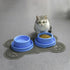 PetLike Ants Away Dog Bowls, No Spill Cat Food Bowl, Water Food Feeder for Small Medium Dogs