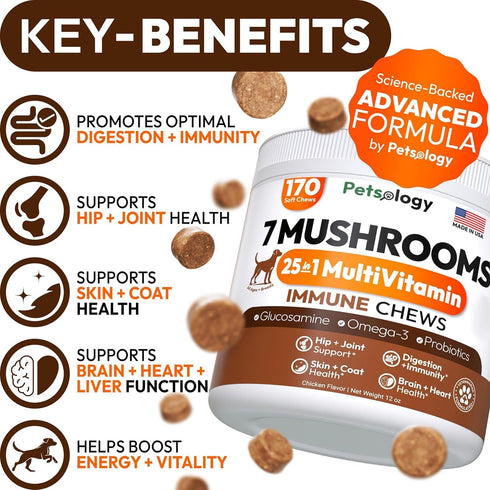 170 Immune Turkey Tail Mushroom for Dogs - Chews - Lions Mane - Shiitake - Reishi - Buddy Support Guard - Mushroom