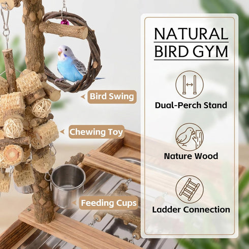 BRSLAIF Natural Wood Bird Perch Stand, Multi-Layer Parrot Playground Gym with Feeding Cups and Toys, Real Branch