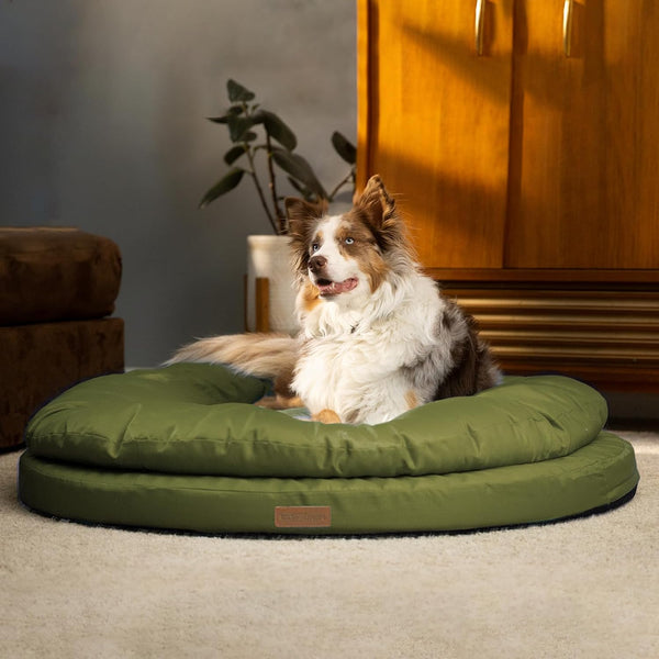 ClevaHome Orthopedic Dog Bed for Large Dogs - Dual Layer Water Repellent Round Pet Bed with Washable Cover, Olive Branch