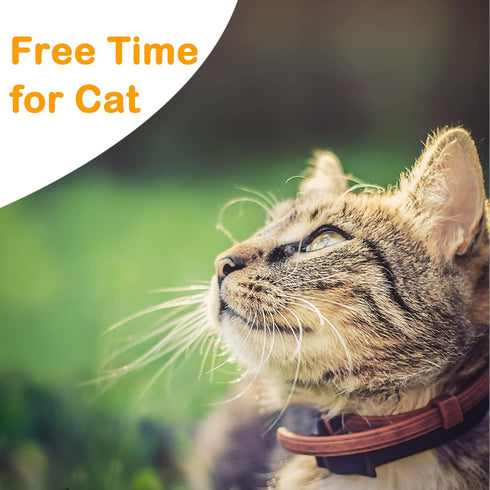 Extra Long Cat Leash for Yard, Lightweight Outdoor Long Lead for Rabbits, Kittens, Puppies, and Small Animals