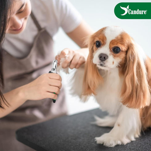 Candure Professional Dog Nail Clippers with Safety Lock, Suitable for Cats, Rabbits, and Guinea Pigs (Green, Medium to