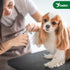 Candure Professional Dog Nail Clippers with Safety Lock, Suitable for Cats, Rabbits, and Guinea Pigs (Green, Medium to