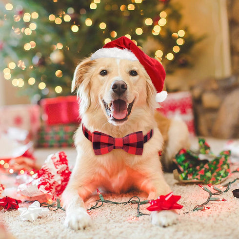 Malier Christmas Plaid Dog Collar with Bow Tie, Light Release Buckle for Small Medium Large Dogs and Cats