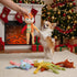 5PC Nocciola No Stuffing Puppy Toys - Dog Toys Plushies Whimsical Variety Colors Animal Plush Toy with Squeaky Crinkle