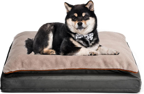Amazon Basics Plush Orthopedic Pillow Dog Bed, Large, Removable Cover, Grey, 36"L x 27"W x 8"H