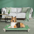 Acrimet Cooling Elevated Pet Dog Bed Cot, Washable Breathable Mesh Fabric, Stainless Steel Frame, Indoor & Outdoor,