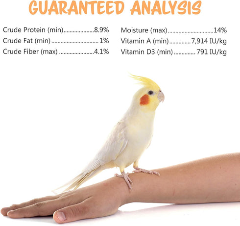 Vitakraft Crunch Sticks Cockatiel Treat - Apple and Honey, Pet Bird Treat Toy