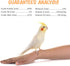Vitakraft Crunch Sticks Cockatiel Treat - Apple and Honey, Pet Bird Treat Toy