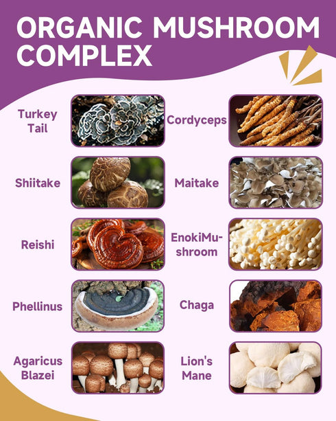 10 Immunity, Mushroom for Dogs & Cats - Turkey Tail for Dogs - Organic Mushroom Supplement with Turkey Tail, Reishi