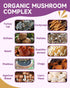 10 Immunity, Mushroom for Dogs & Cats - Turkey Tail for Dogs - Organic Mushroom Supplement with Turkey Tail, Reishi