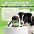 24-in-1 200 Count Omega-3 Dog Multivitamins Chewable, Dog Vitamins and Supplements with Glucosamine Chondroitin