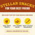 Cosmo's Snack Shack (24 Count Pack 1) Pork Meat Sticks for Dogs - Savory Flavor - All Natural Dog Treat - Made in USA