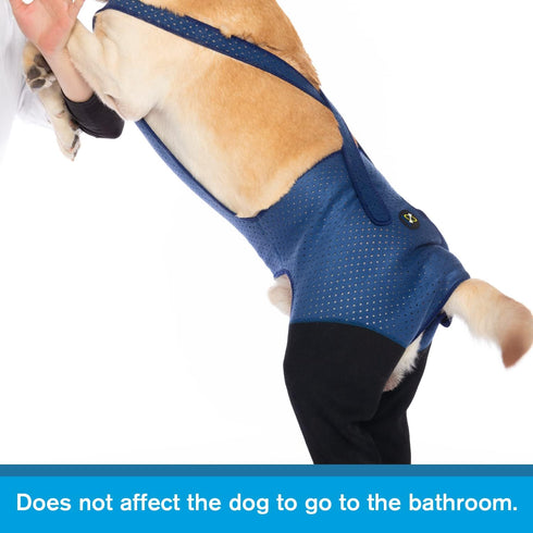 Coodeo Dog Recovery Suit, Cone Collar Alternative, Abrasion Resistant, Washable, Waterproof for Pet Wounds (L, Blue)