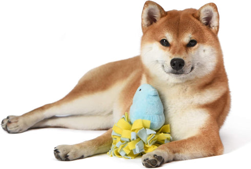 Peeps for Pets Plush Chick Dog Toy - Blue and Yellow Fleece Bottom, Small Plush with Squeaker for Pets